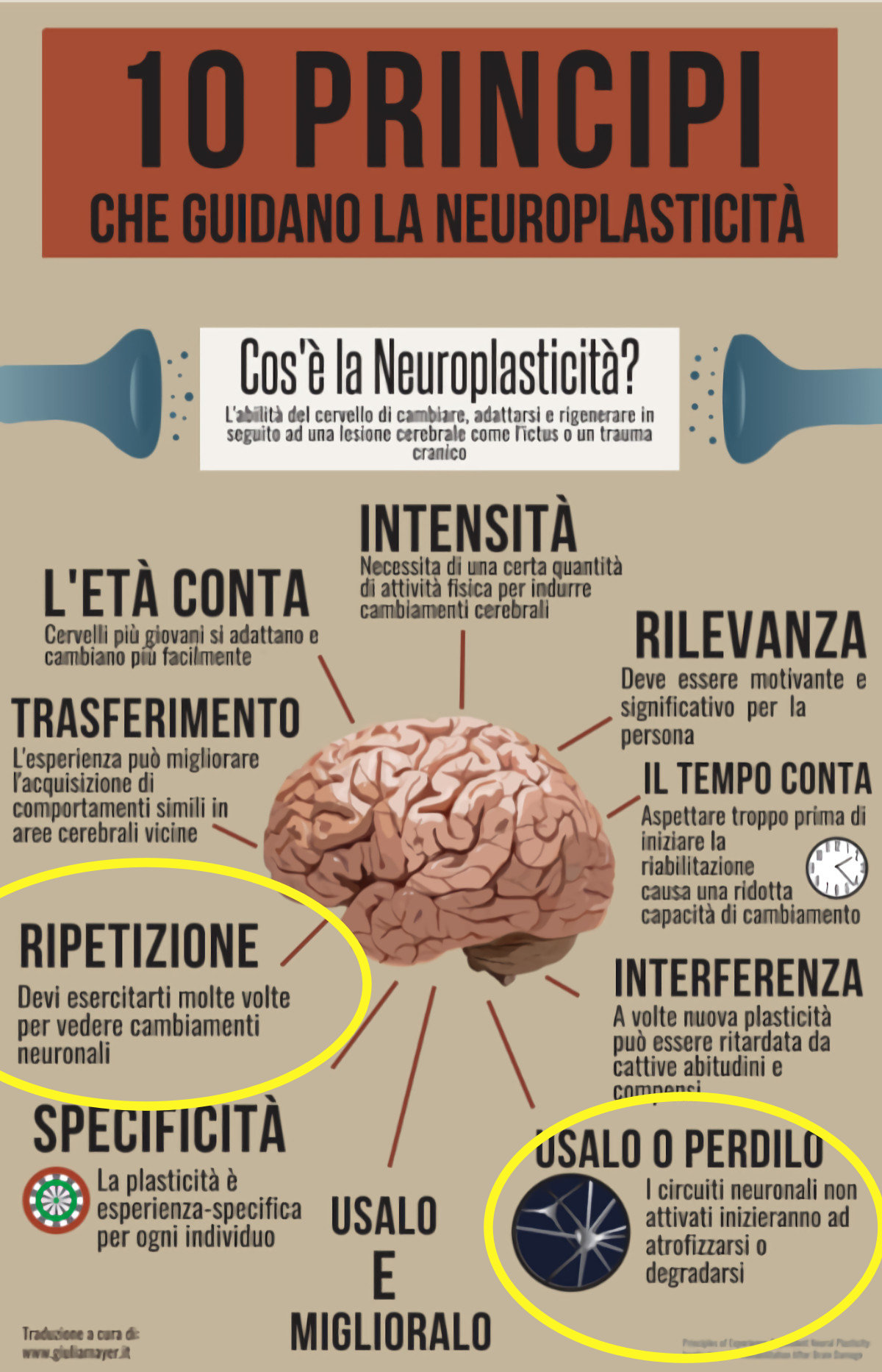 Atrofizzazione delle capacità non riutilizzate perchè delegate alla Intelligenza Artificiale
